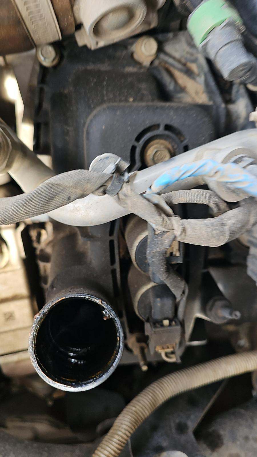 2019 Ford F-150 XL Crew Cab Short Bed