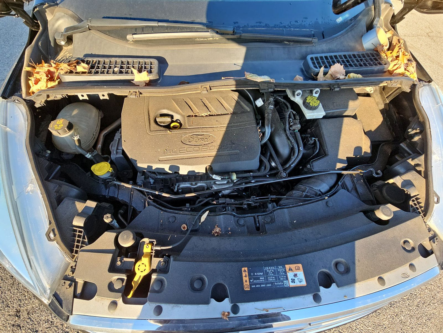 2018 Ford Escape SE