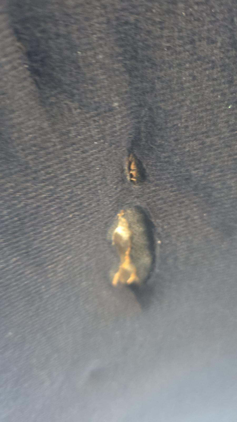 2018 Honda Accord Sedan Sport 1.5T