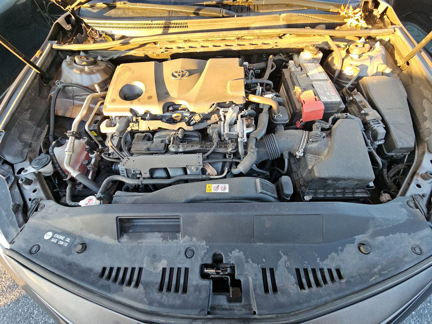 2019 Toyota Camry SE