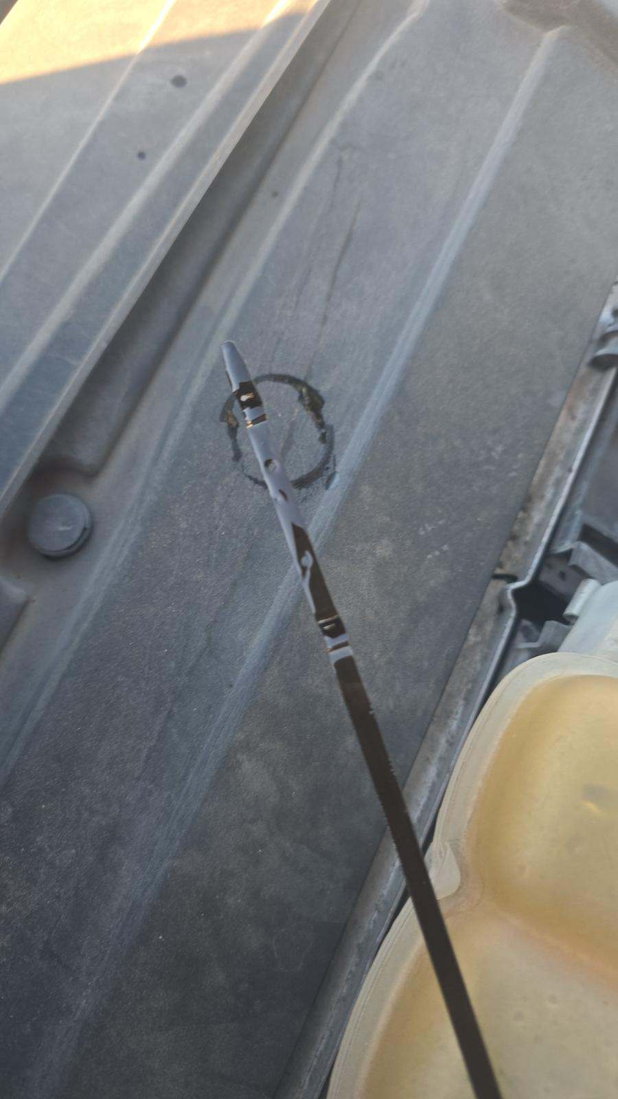 2018 Ford F-150 Raptor Crew Cab Short Bed