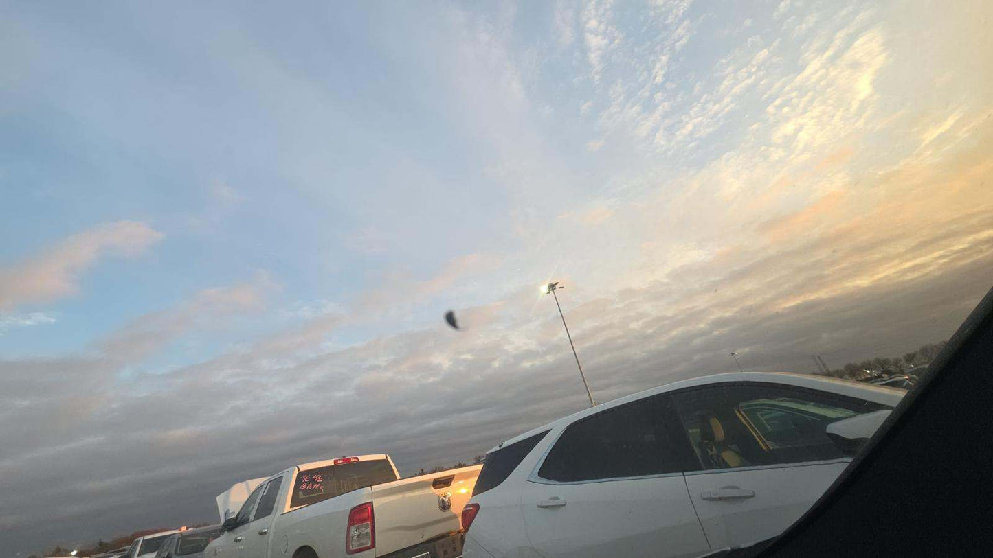 2020 BMW X3 Sports Activity Vehicle sDrive30i