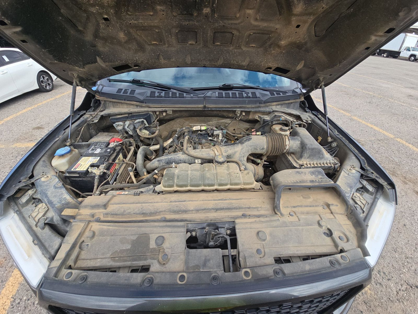 2019 Ford F-150 XL Crew Cab Short Bed