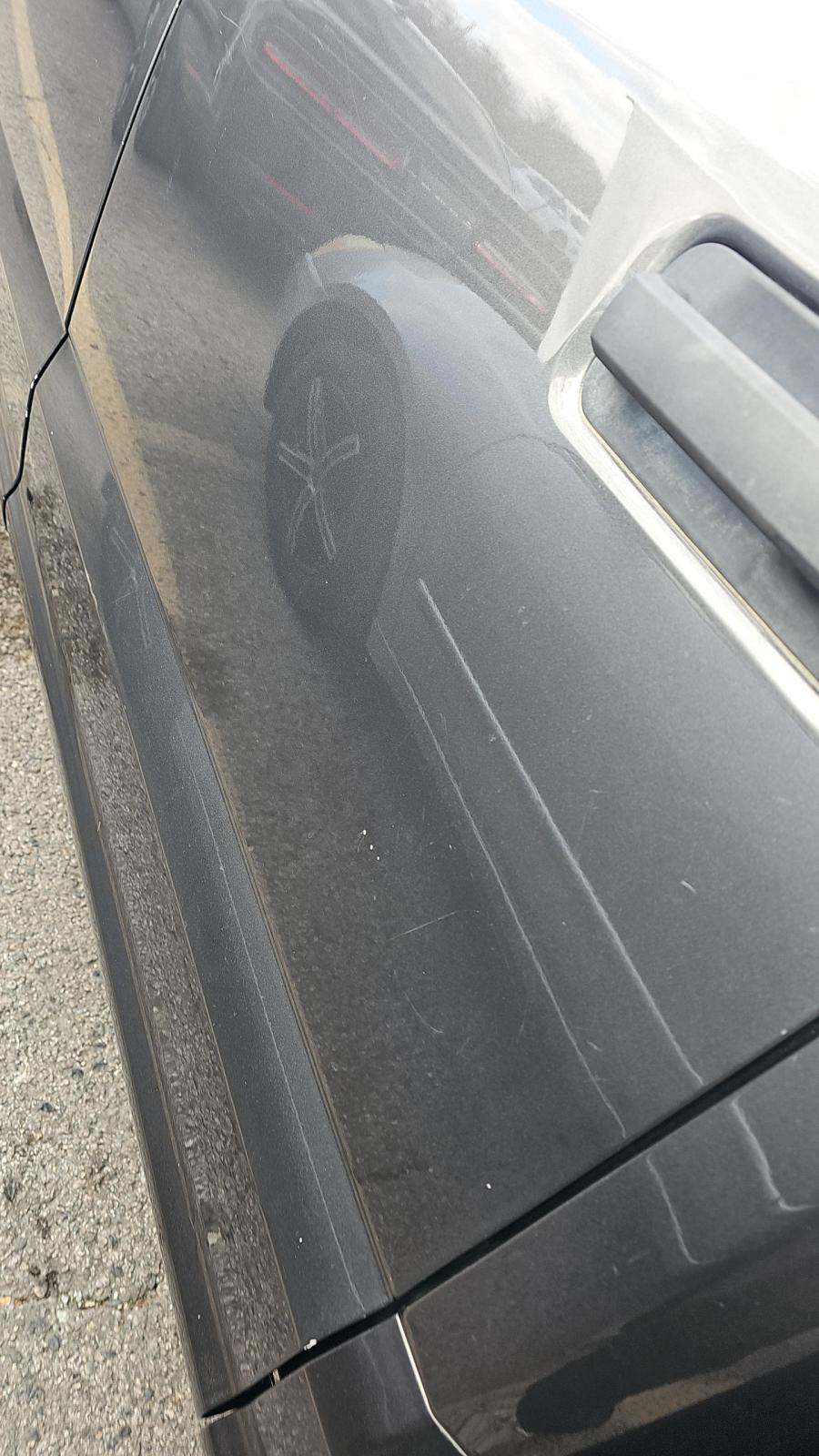 2019 Ford F-150 XL Crew Cab Short Bed