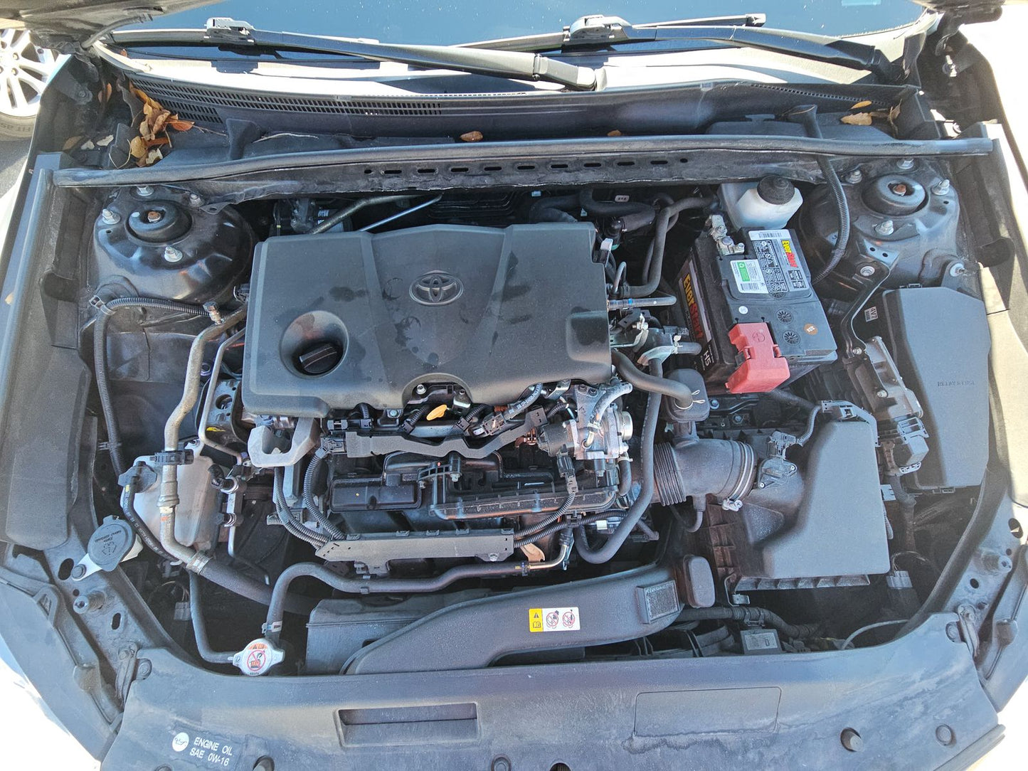 2023 Toyota Camry LE
