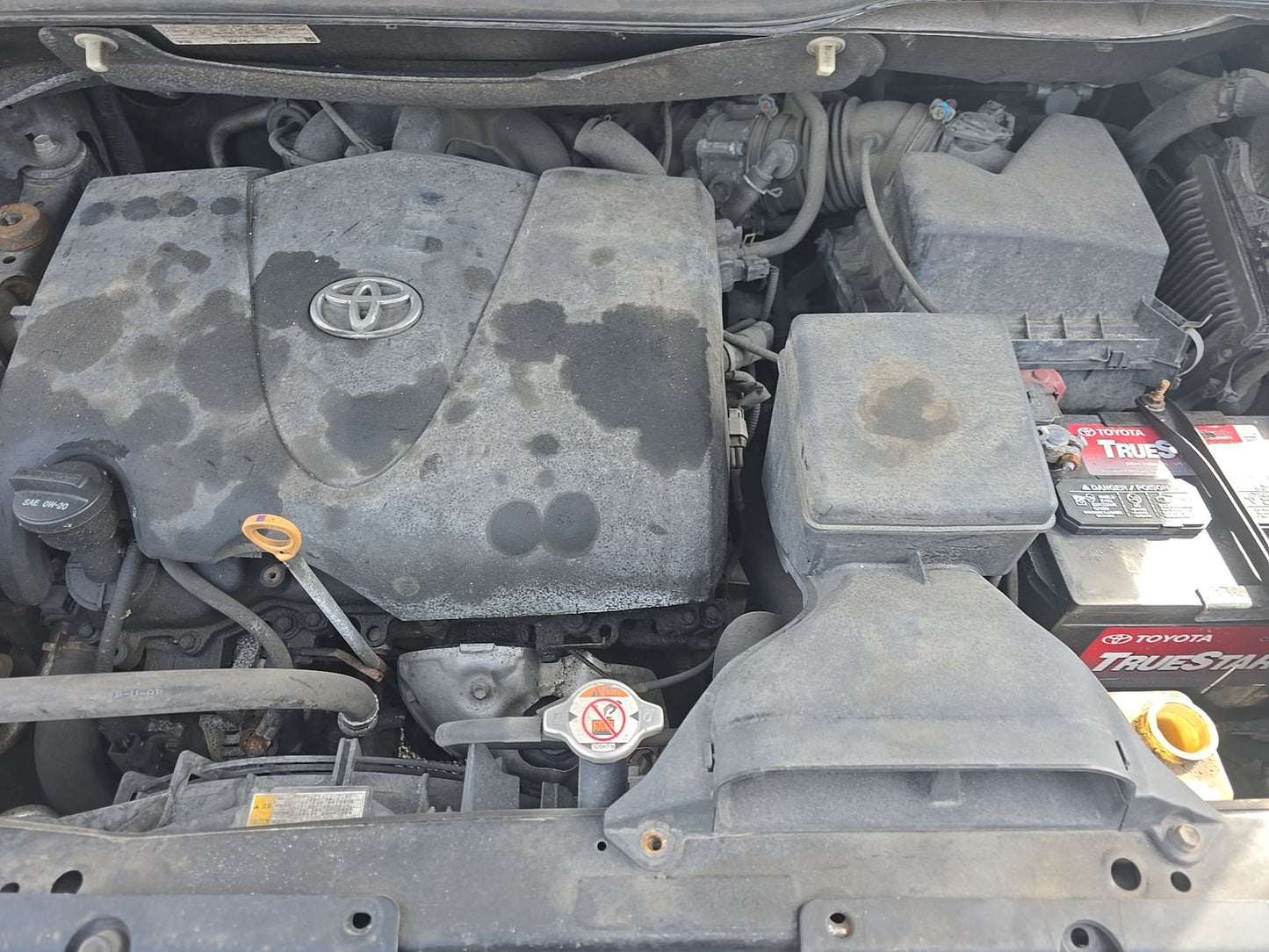 2017 Toyota Sienna XLE 7-Passenger