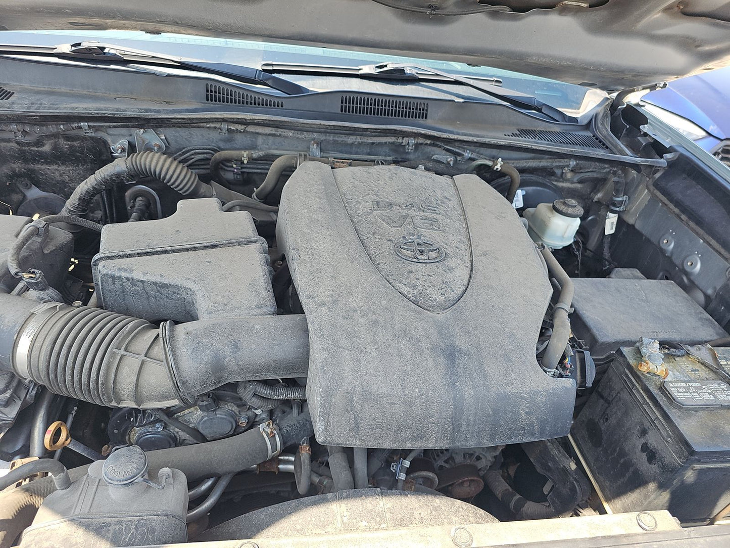 2019 Toyota Tacoma SR5 Crew Cab Medium Bed