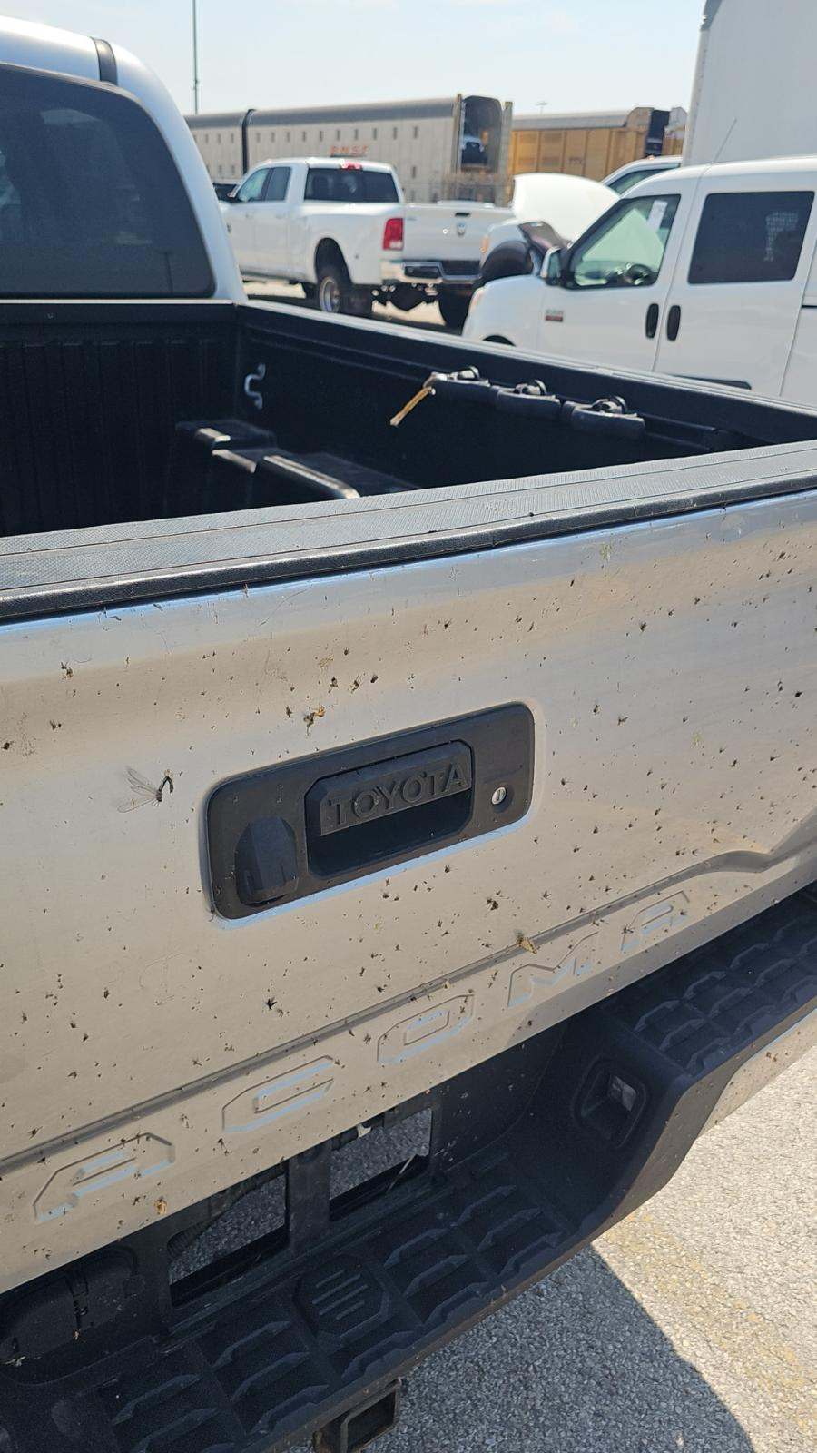 2019 Toyota Tacoma SR5 Crew Cab Medium Bed