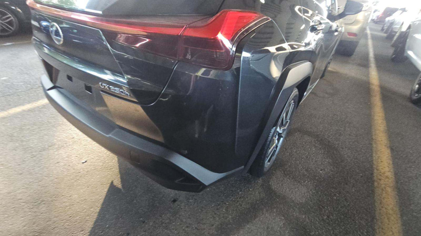 2019 Lexus UX 250h
