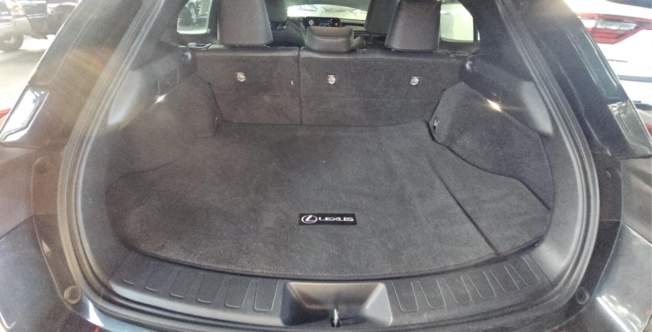 2019 Lexus UX 250h