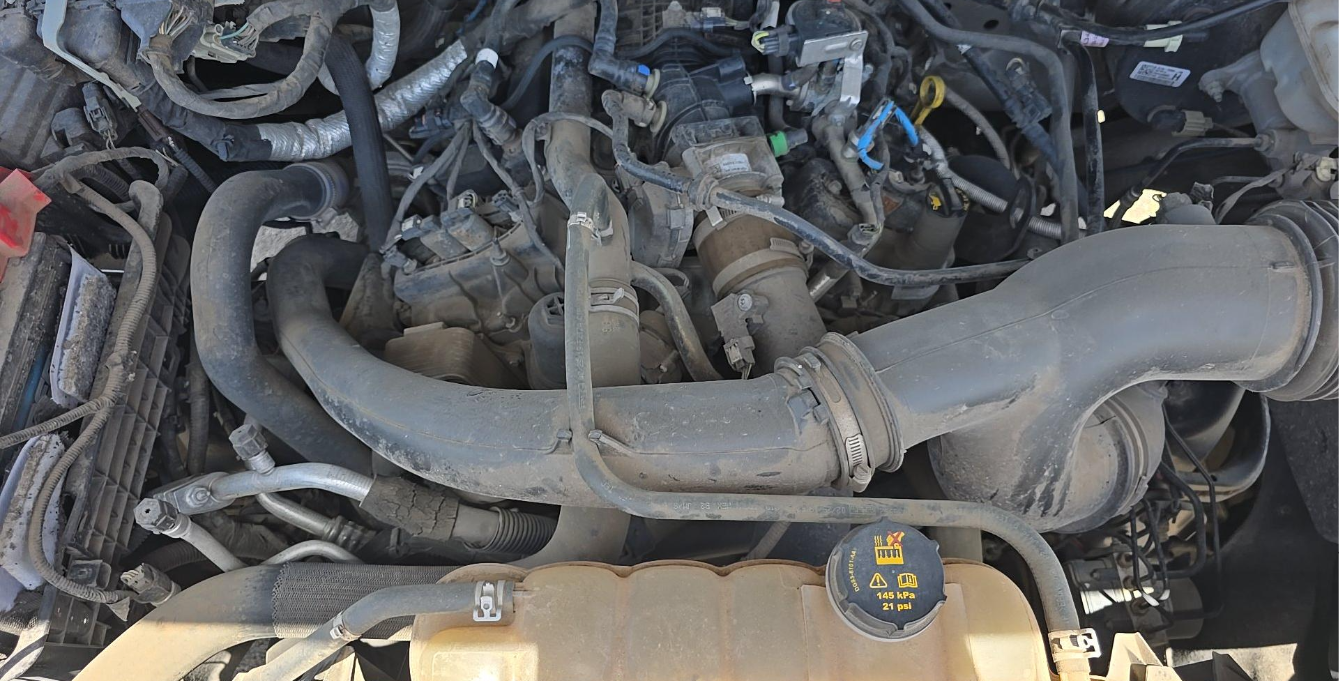 2019 Ford F-150 XLT Crew Cab Short Bed