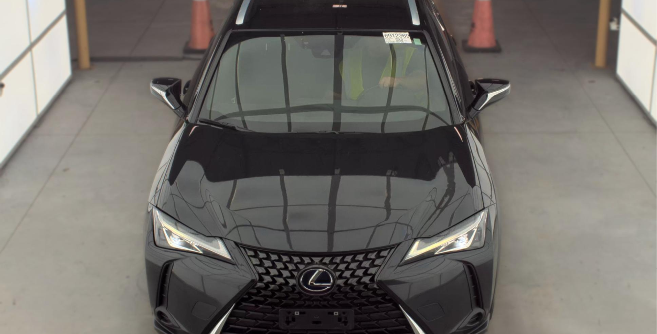 2019 Lexus UX 250h
